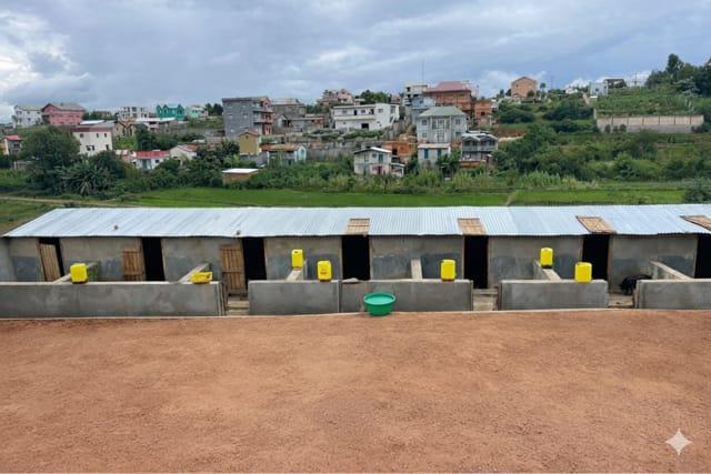 Nos installations d'élevage porcin