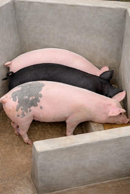 Nos produits de qualité